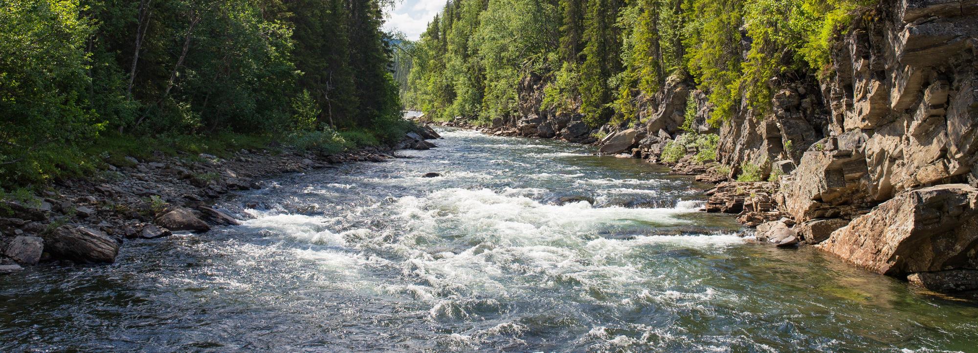 Двух пропавших в Бурятии новосибирских туристов нашли живыми