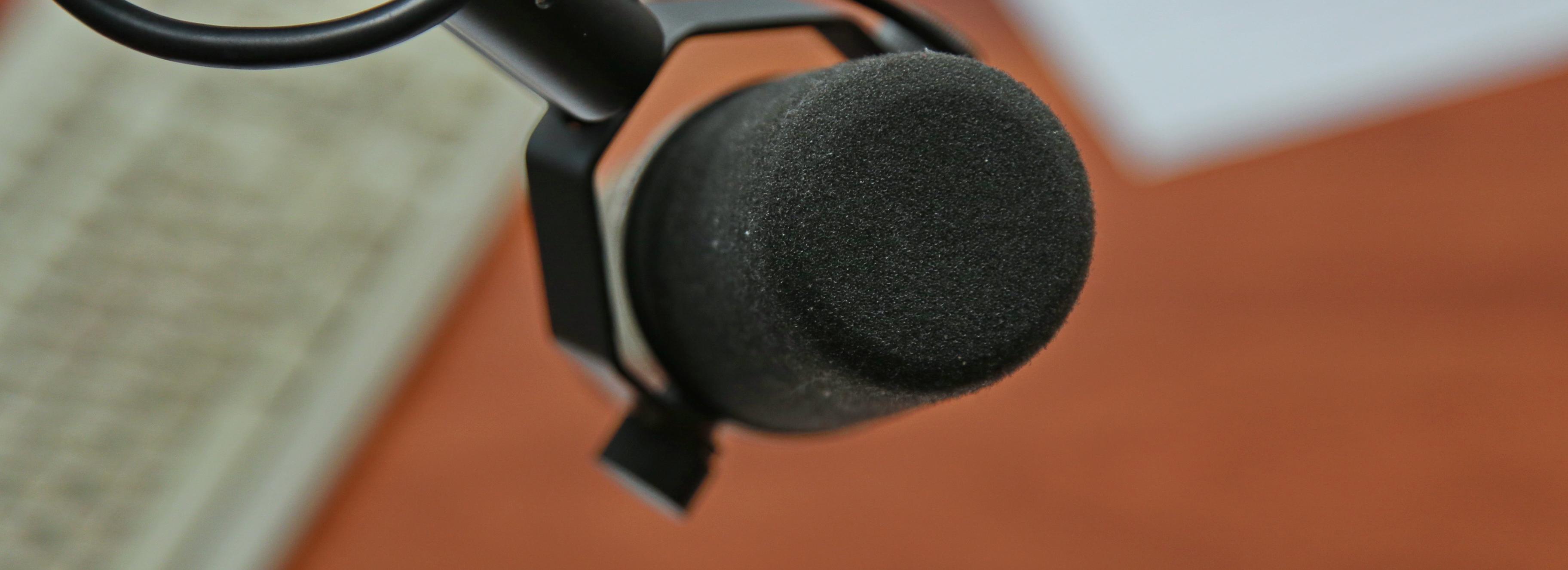 Как не ошибиться в выборе профессии — слушайте в прямом эфире Горволны