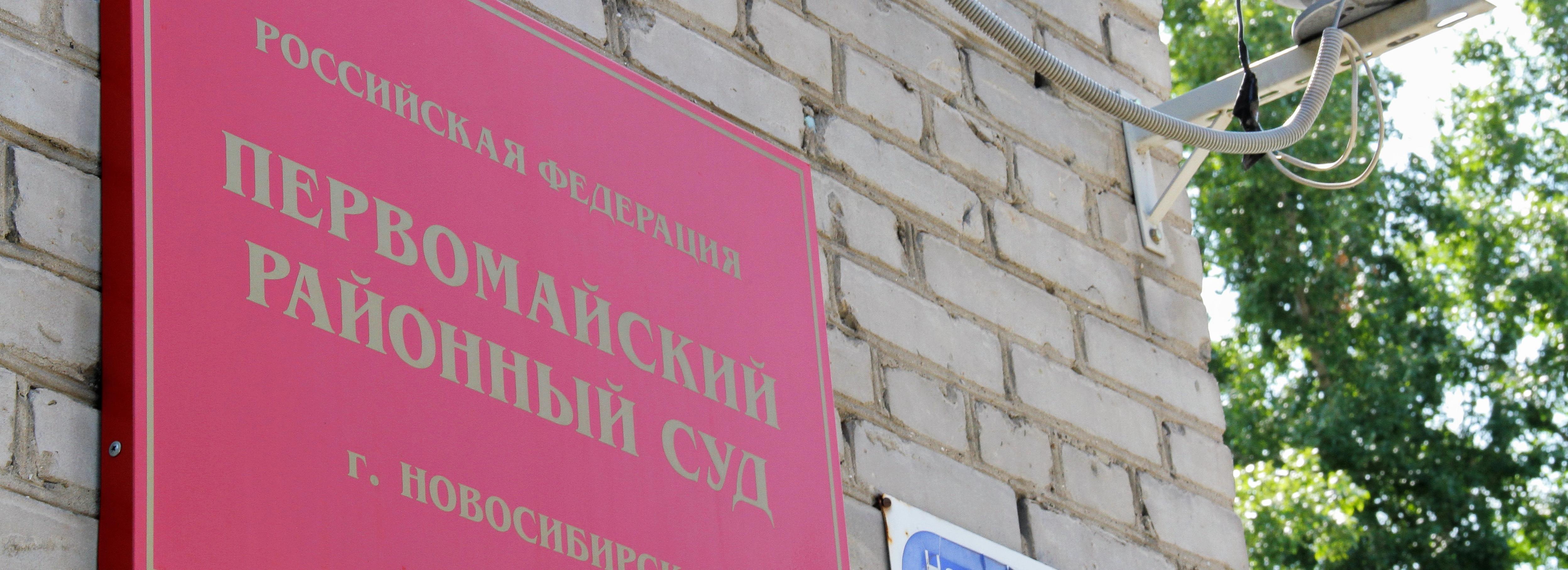 Сибирячка придумала себе детей в Москве и угодила в колонию