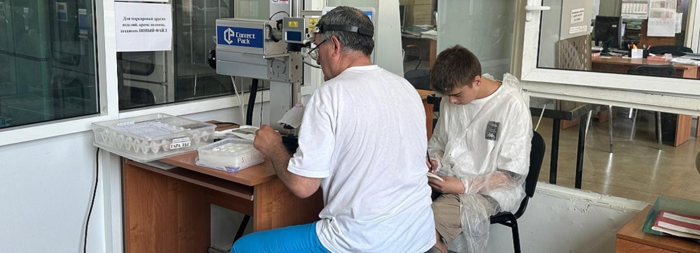 4700 подростков нашли работу: их берут на заводы и в библиотеки