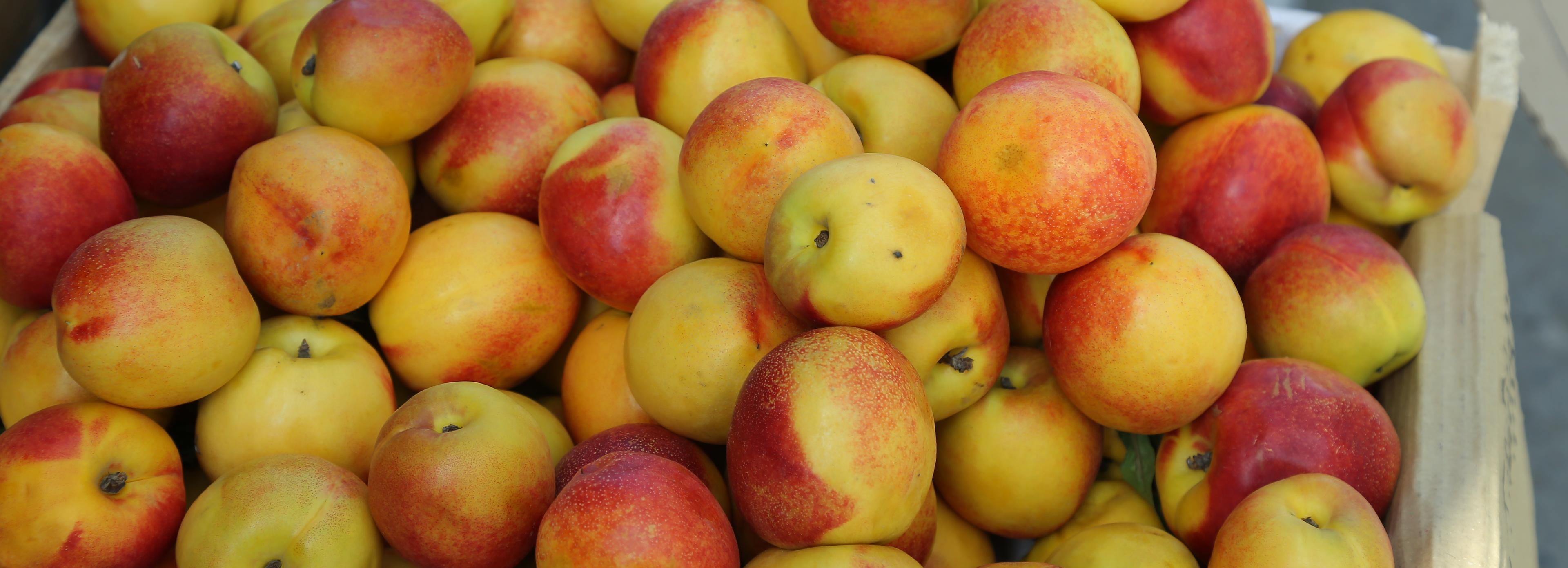 Серийного похитителя персиков задержали в новосибирском супермаркете