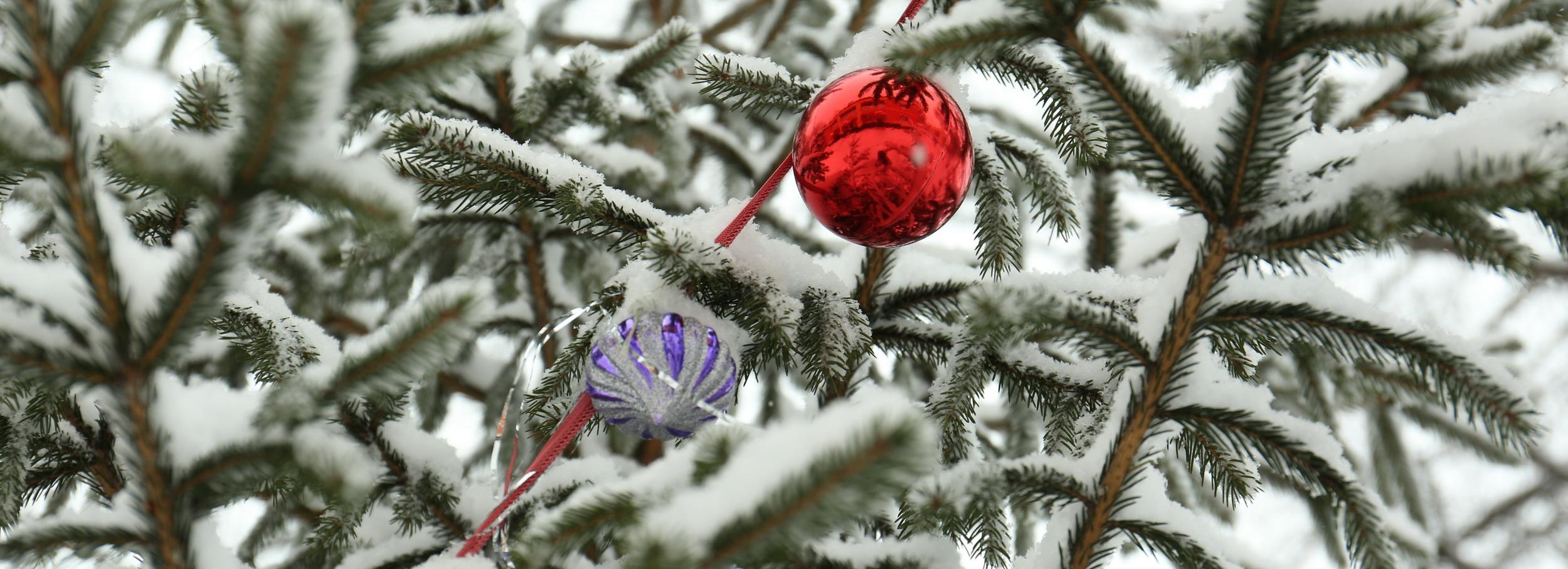 Прохожие с улиц Новосибирска рассказали о своих новогодних каникулах