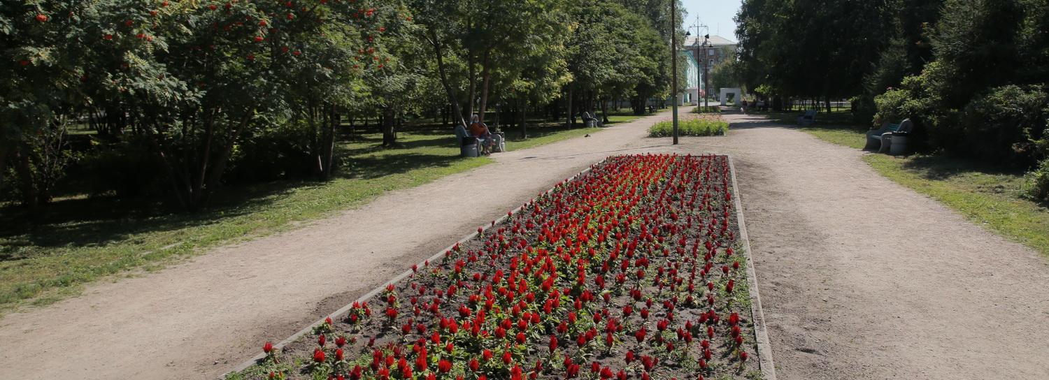 Код города: цветы для аллеи, аварийные деревья и жара в Новосибирске