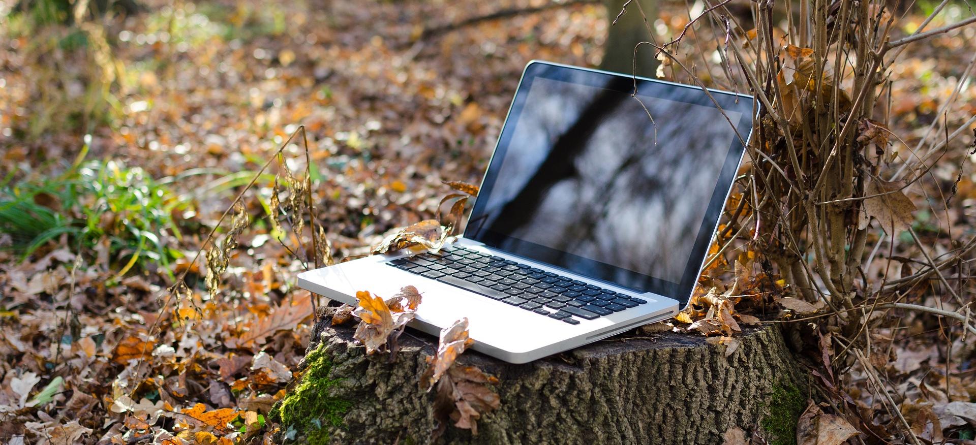 В старинный аул Новосибирской области провели LTE-интернет