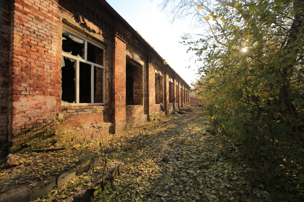 В Новосибирске восстановят единственную конюшню старого военного городка