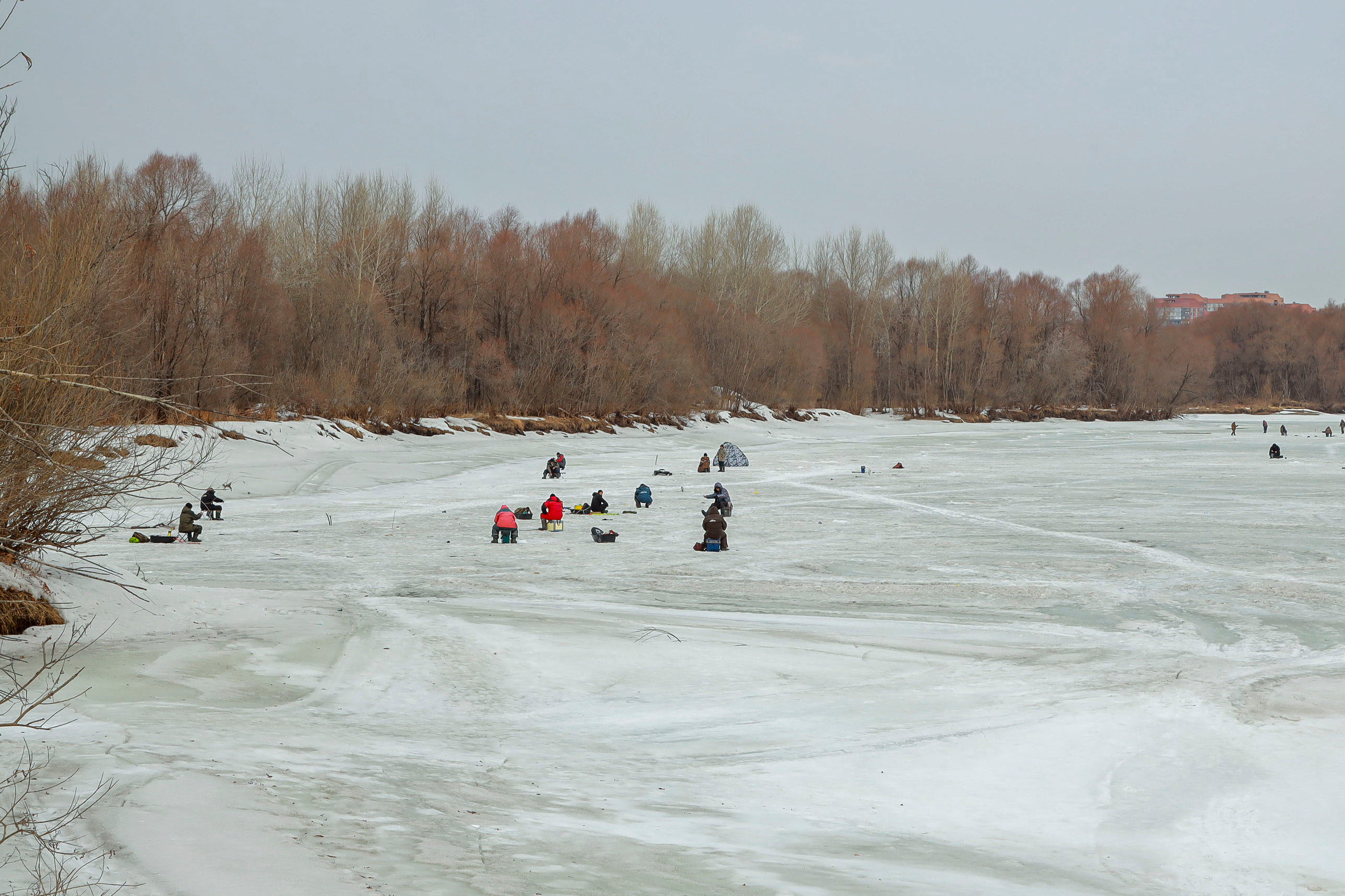 Учёные назвали самое рыбное место на Новосибирском водохранилище 