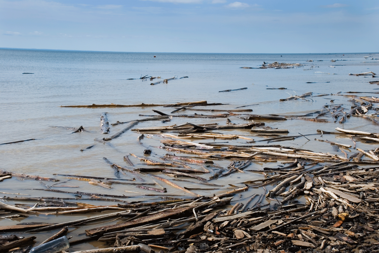 Брёвна ночью поплывут по реке Оби в Новосибирске