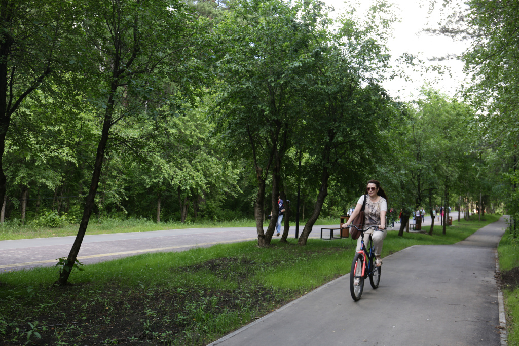 Парки Новосибирска обработают от клещей второй раз за сезон