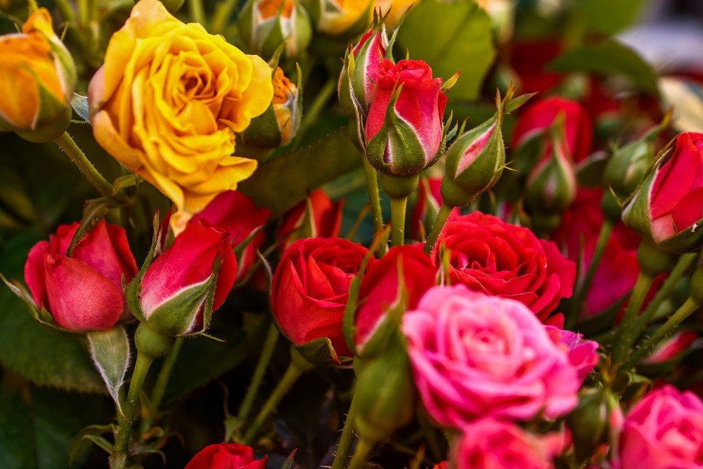 Как продлить жизнь букету в вазе