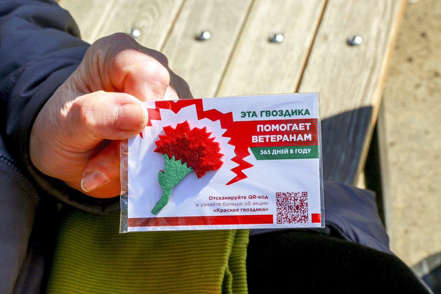 Акция «Красная гвоздика» стартует с 10 апреля в Новосибирске