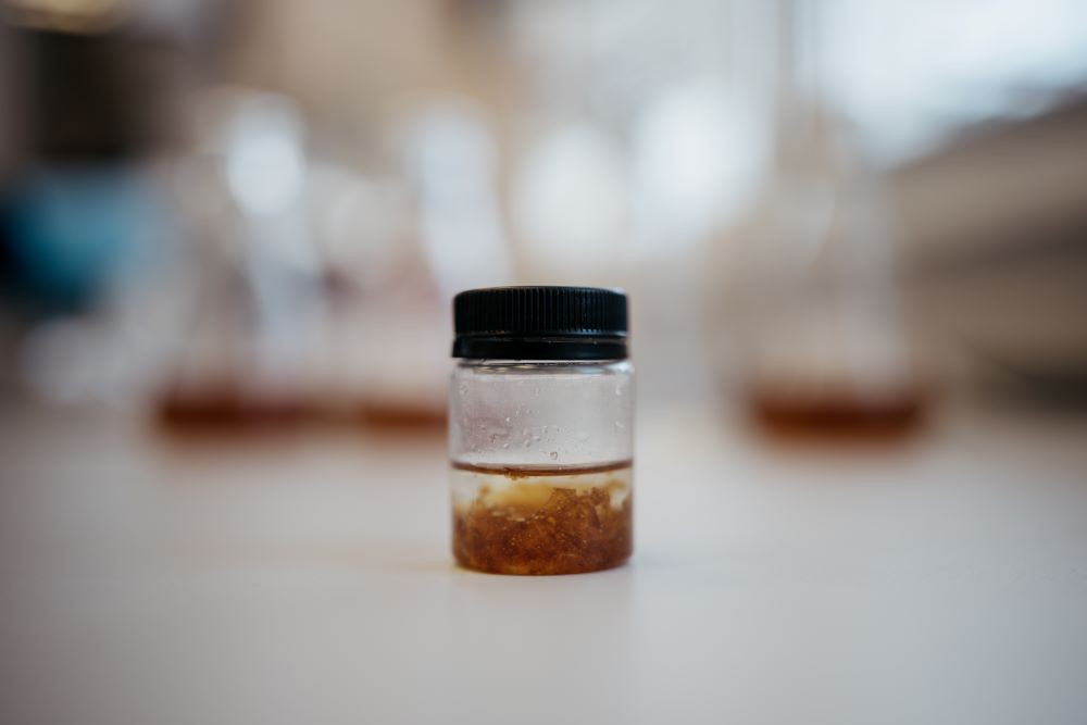 Полезную добавку для спортивного питания придумали в Новосибирске