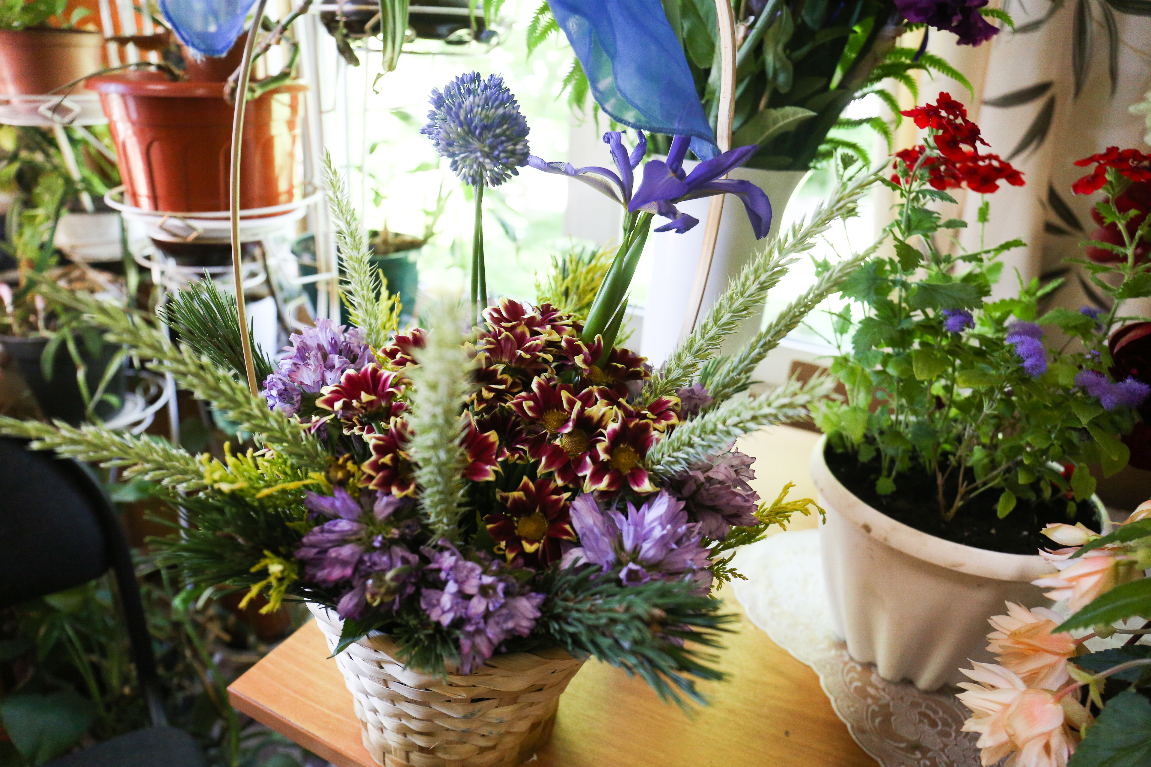 От подоконника до сада: «зелёный микс» покажут в «Дачной академии»