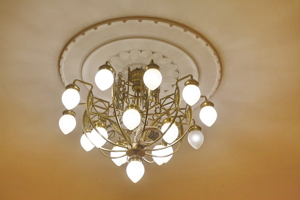 Отключить свет и присоединиться к «Часу Земли» предложили новосибирцам