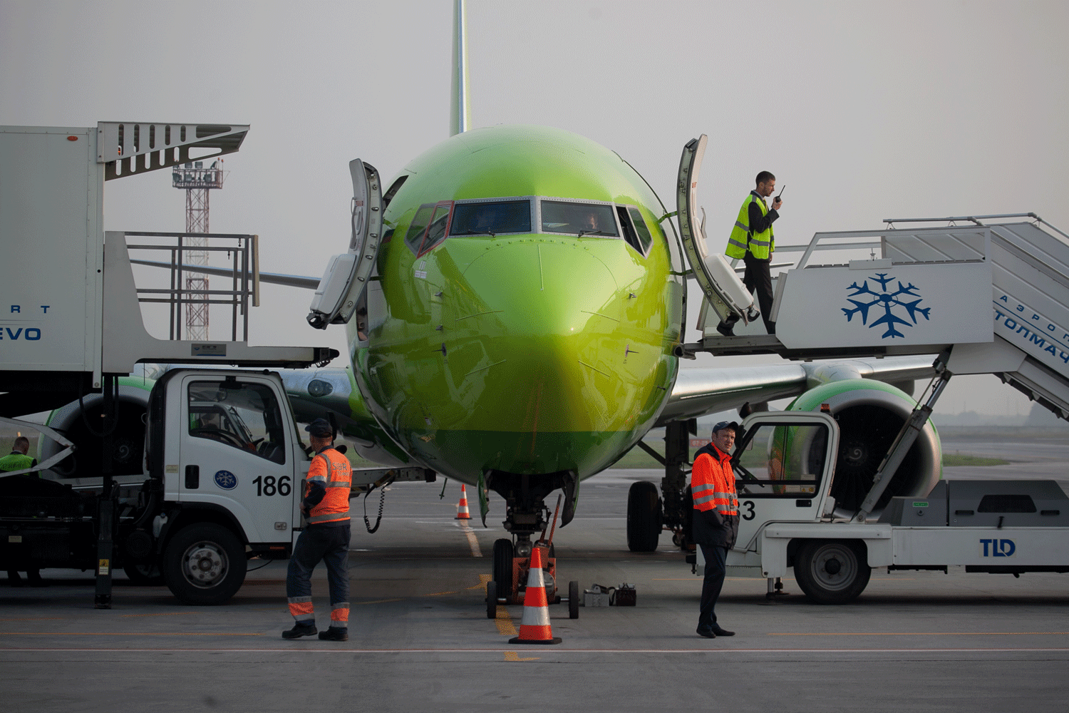 S7 Airlines наказали за овербукинг на стыковочных рейсах в Новосибирске