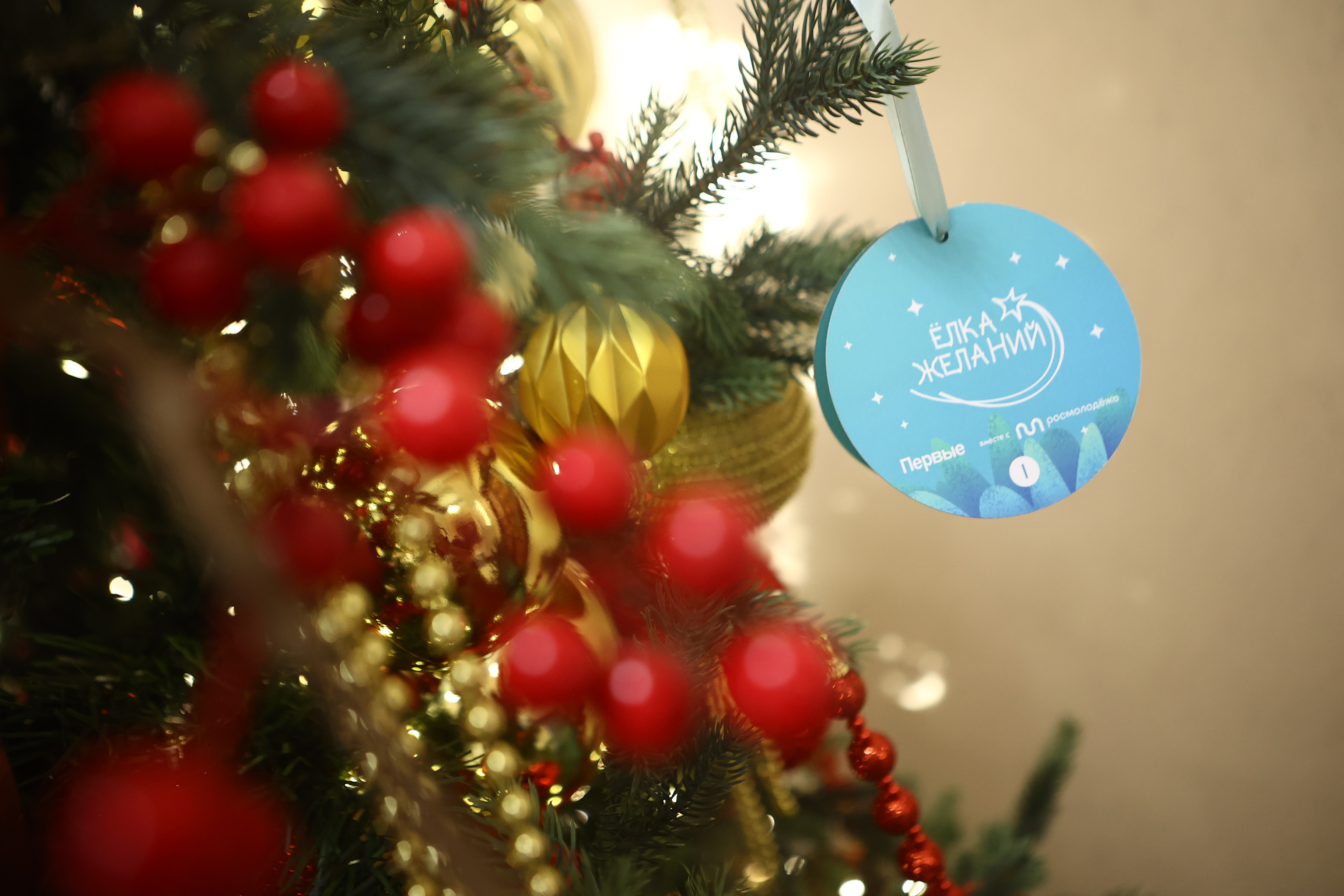 Полпред Серышев исполнит мечты сибирских детей с «Ёлки желаний»