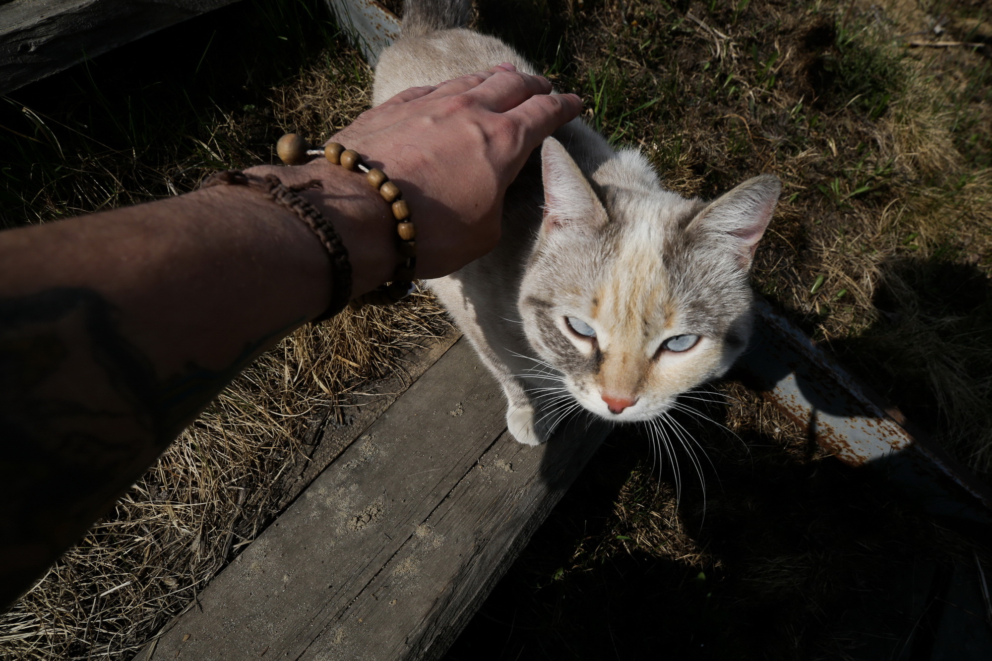 Почему возникает аллергия — рассказала врач из Новосибирска