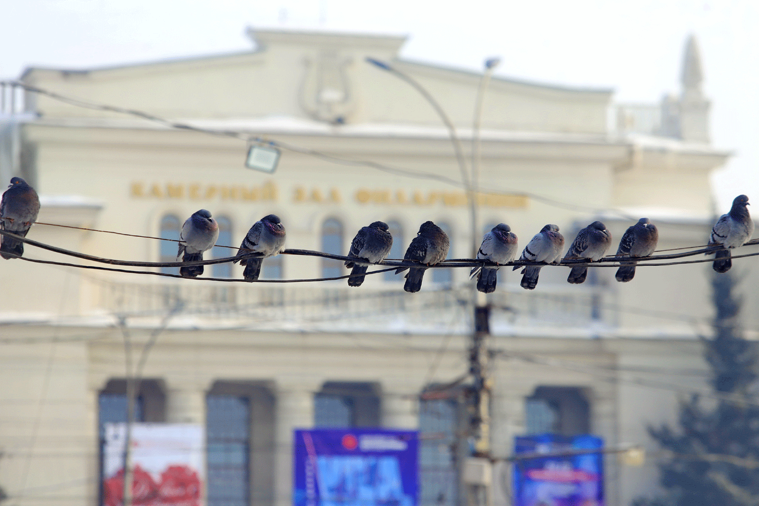 Резкая оттепель до +1 градуса придёт в Новосибирск 6 февраля