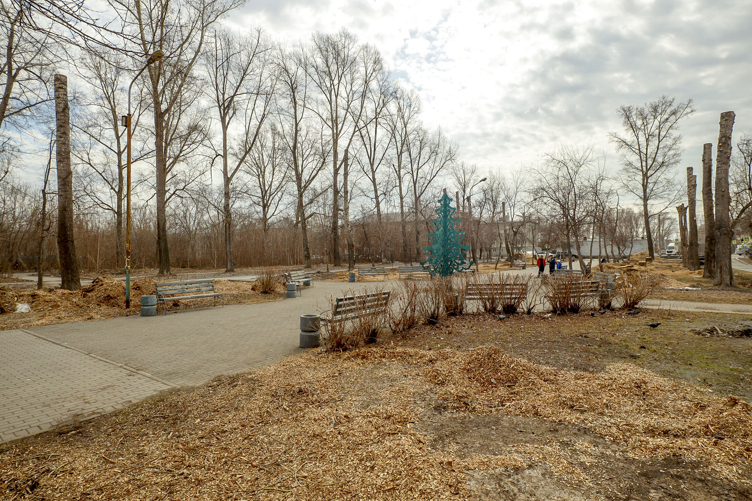 Живую изгородь из кустарников высадят вдоль аллеи имени Горбаня