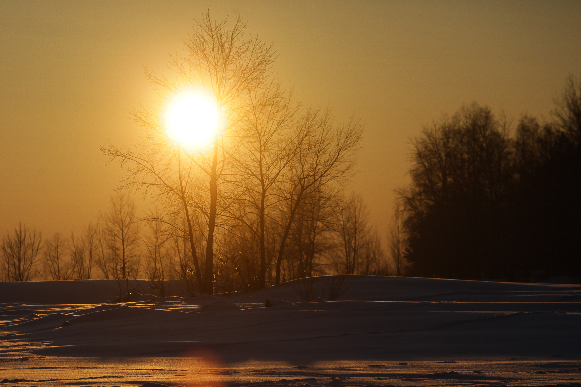 Почему некоторые чихают от яркого солнца — ответ врача из Новосибирска