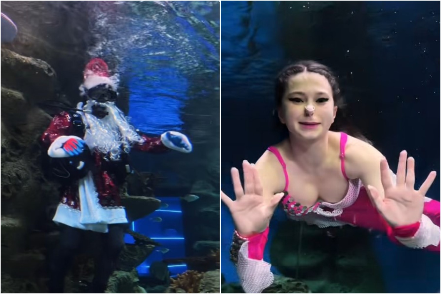 Русалочка и Дед Мороз-водолаз поздравили новосибирцев в океанариуме: видео