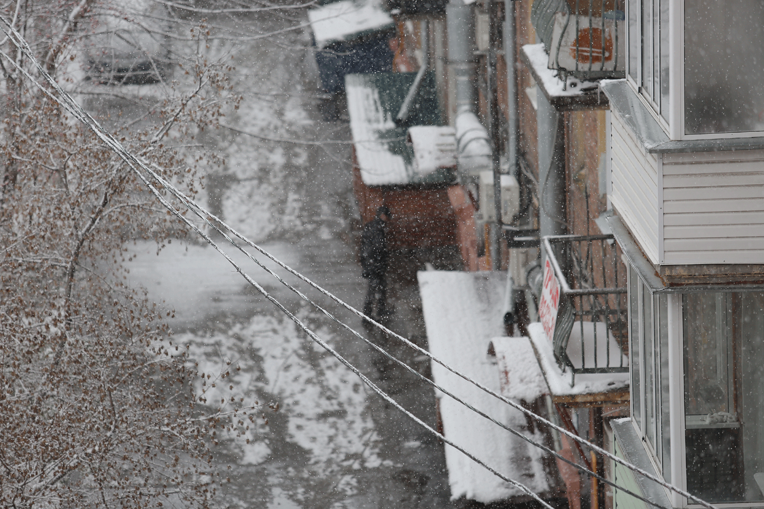Сильный ветер и метели разбушуются в Новосибирской области
