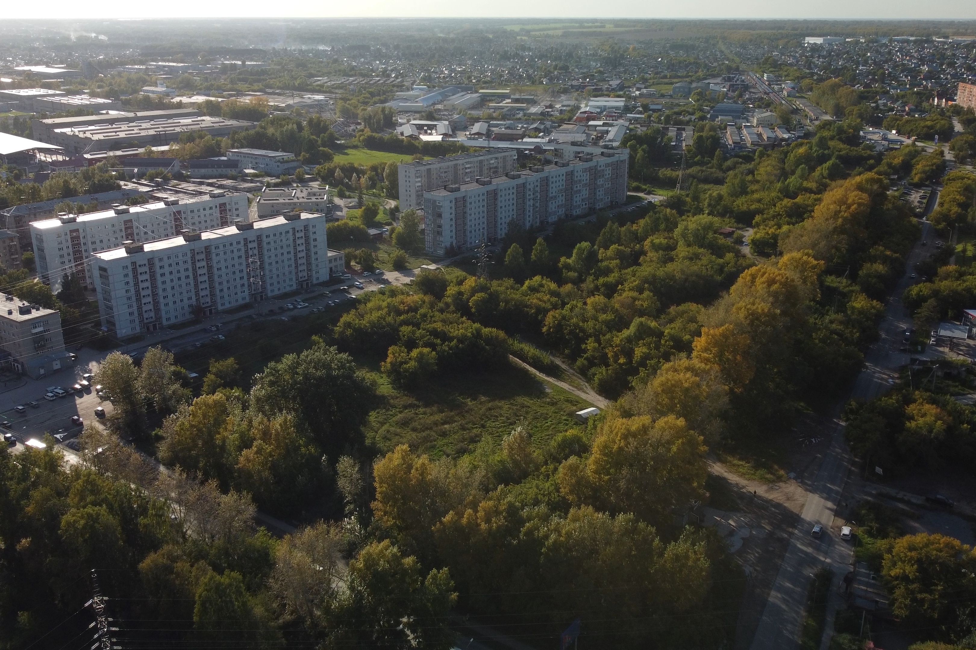 Тысячи новосибирцев уже приняли участие в новых зелёных выборах