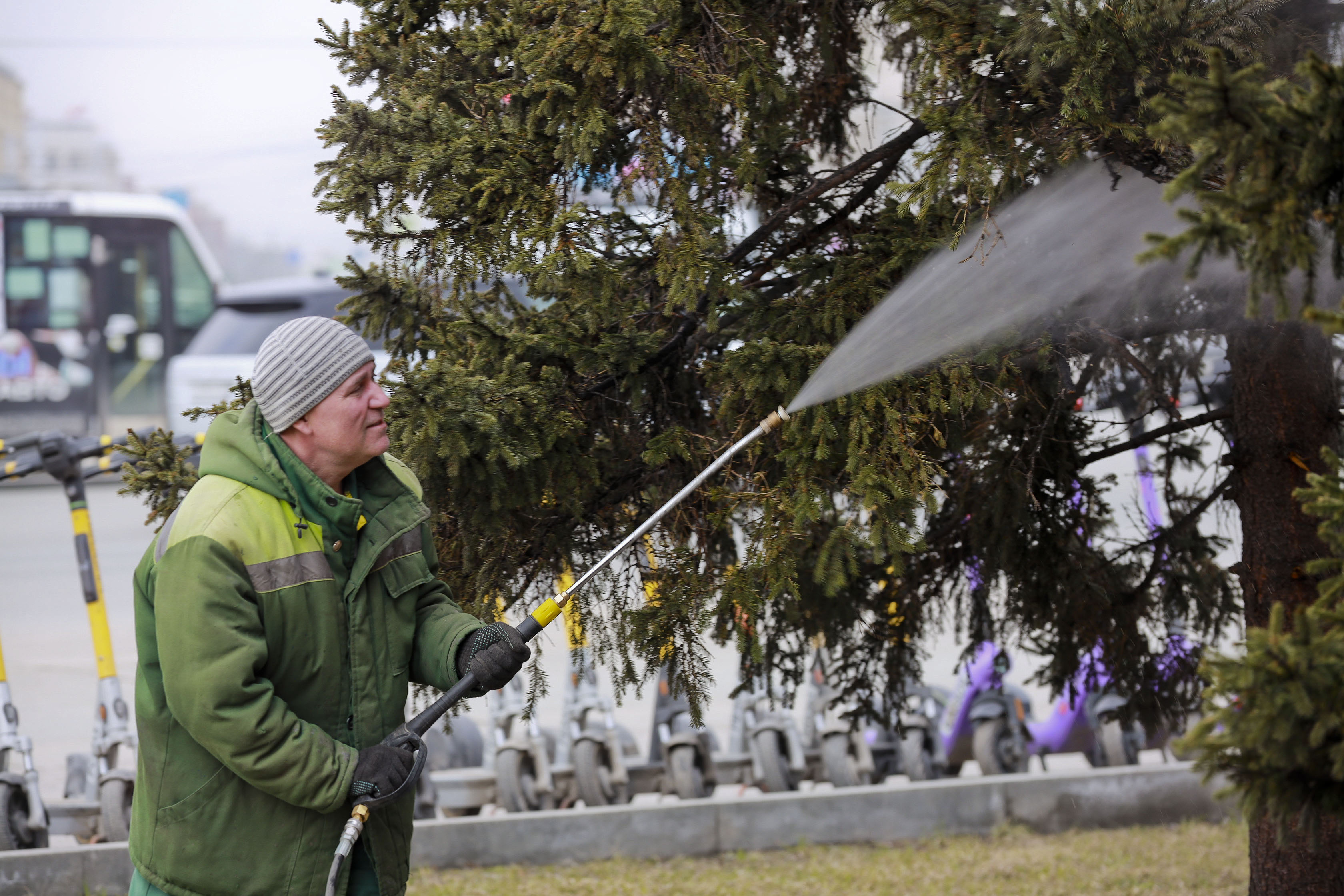 Ёлки от грязи отмыли на площади Ленина в Новосибирске