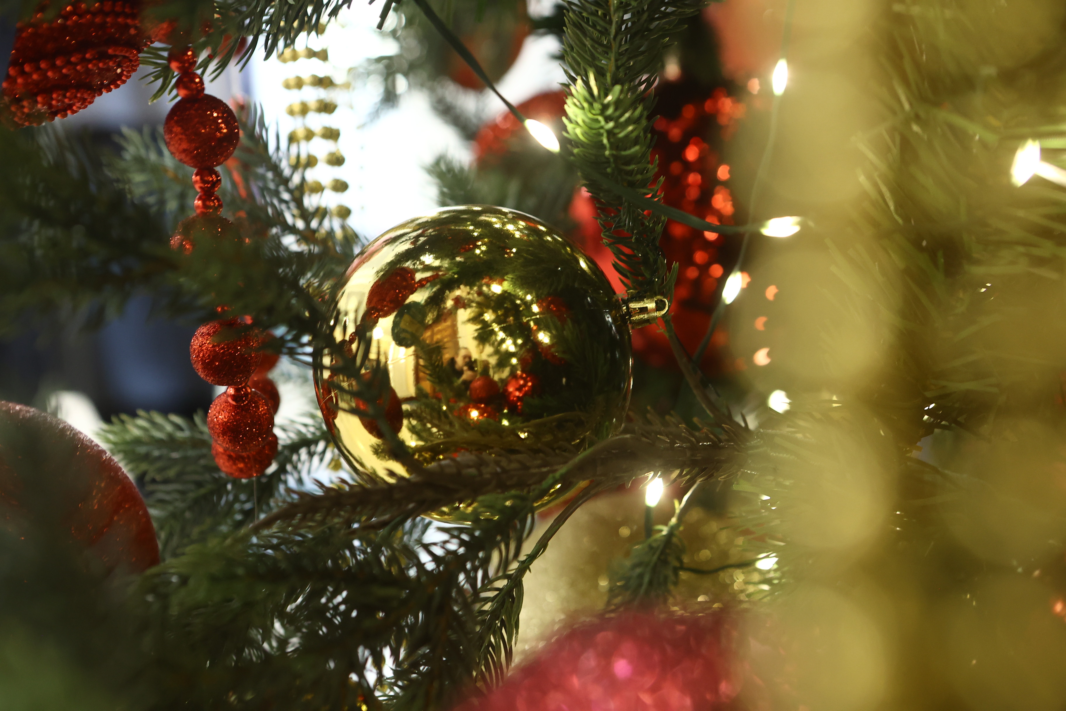 Мальчик из Новосибирской области попал за кулисы цирка благодаря полпреду