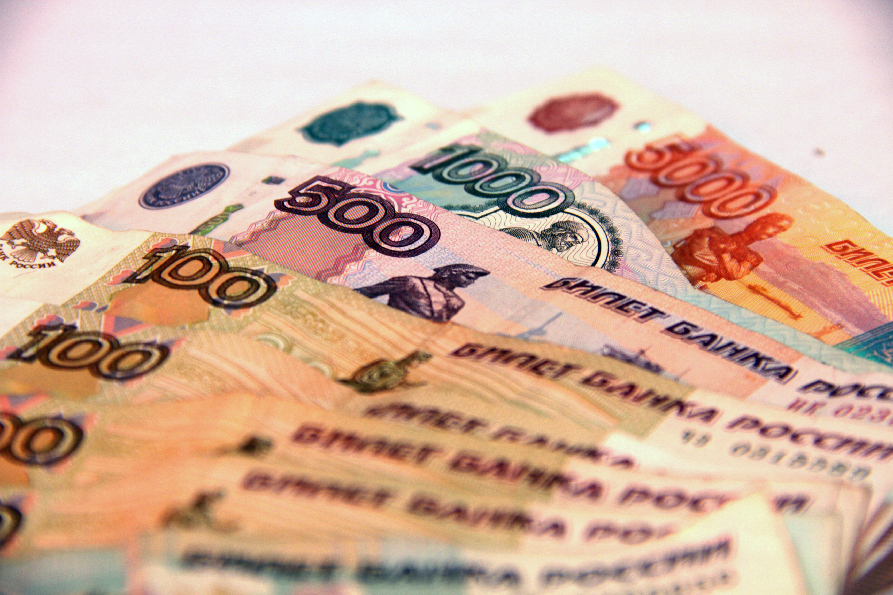 500 тысяч на развитие бизнеса могут получить ветераны СВО из Новосибирска