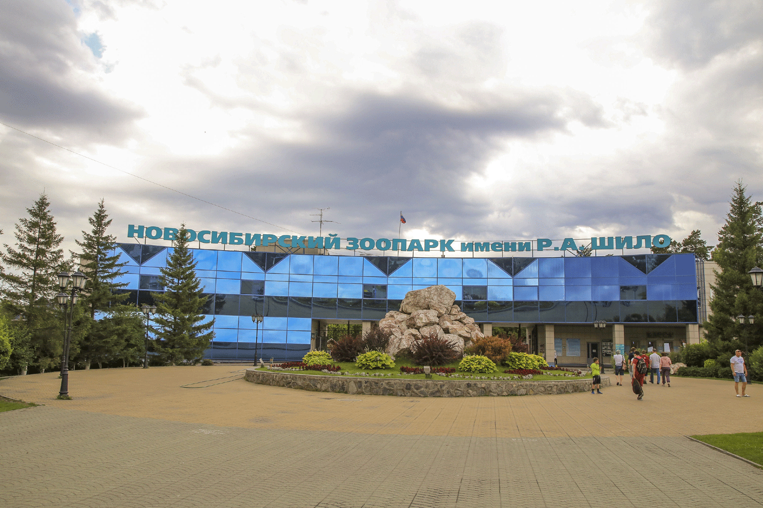 Медвежат-сирот из Владивостока приютил Новосибирский зоопарк