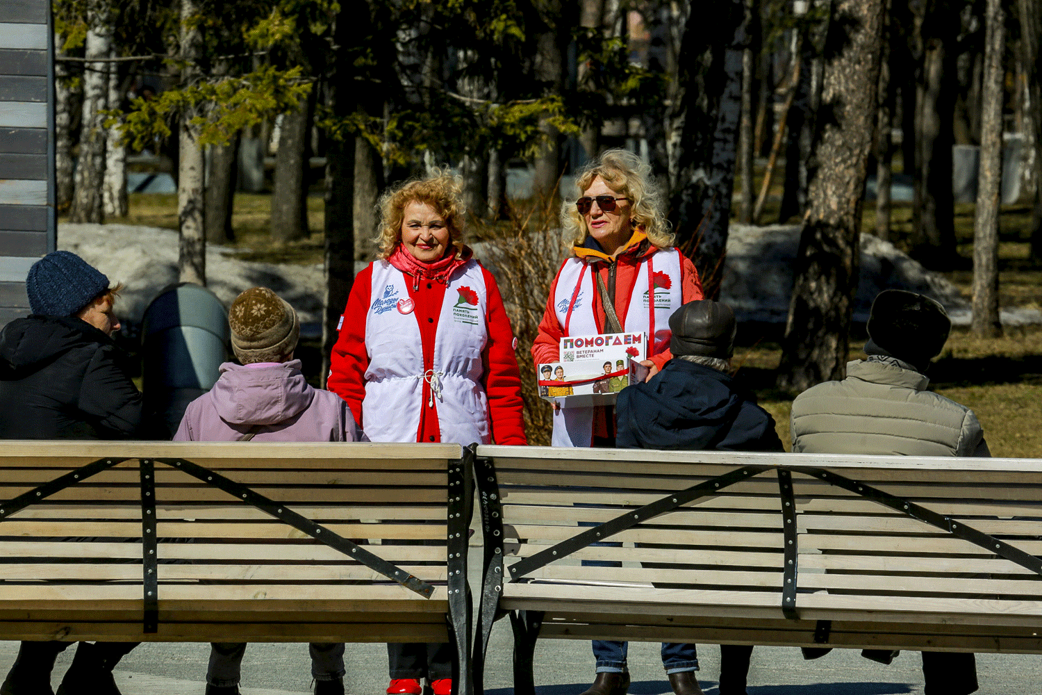 Красные значки-гвоздики раздадут в Центральном парке Новосибирска