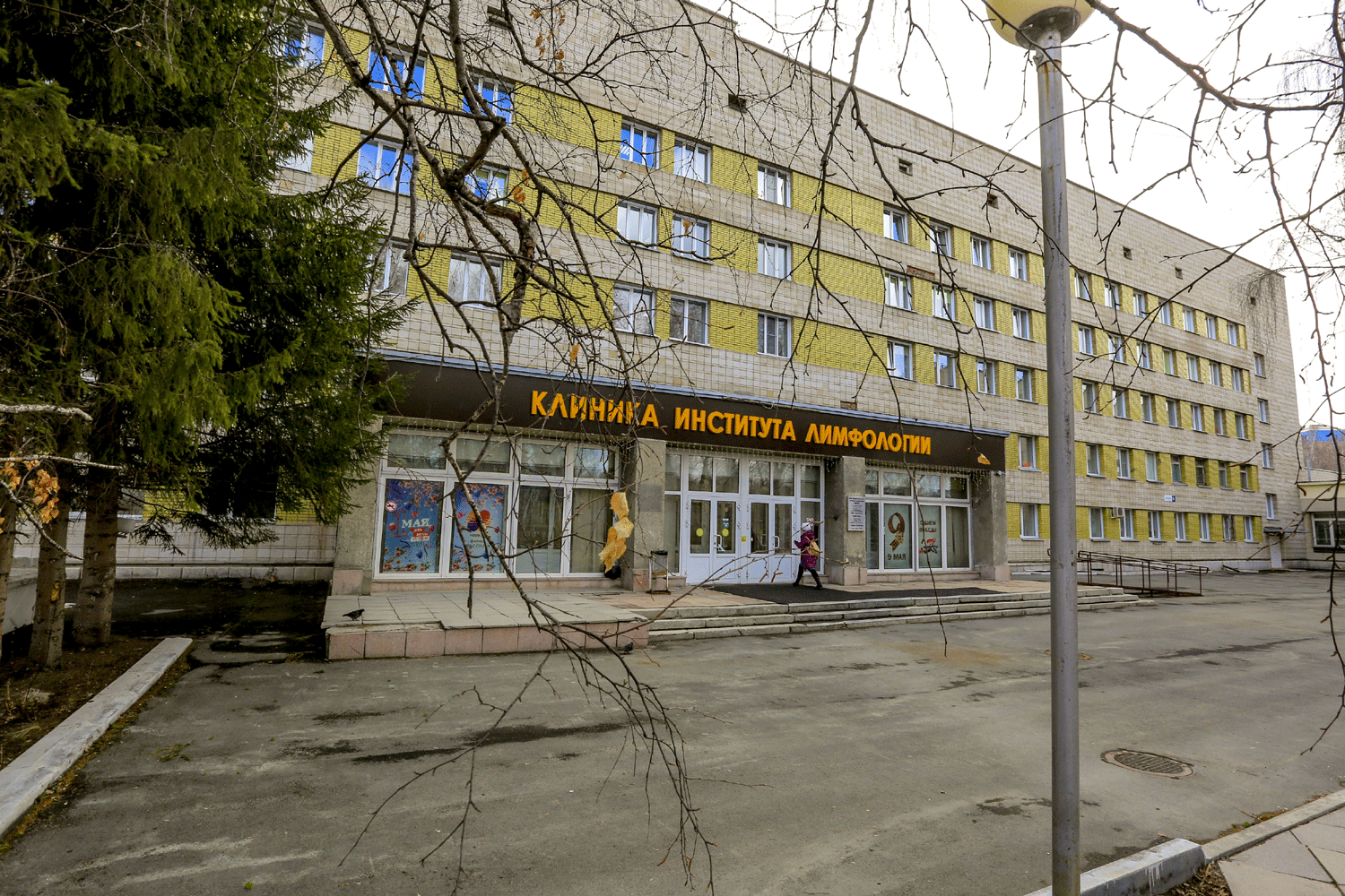 В Новосибирске запустят производство генных препаратов для суставов