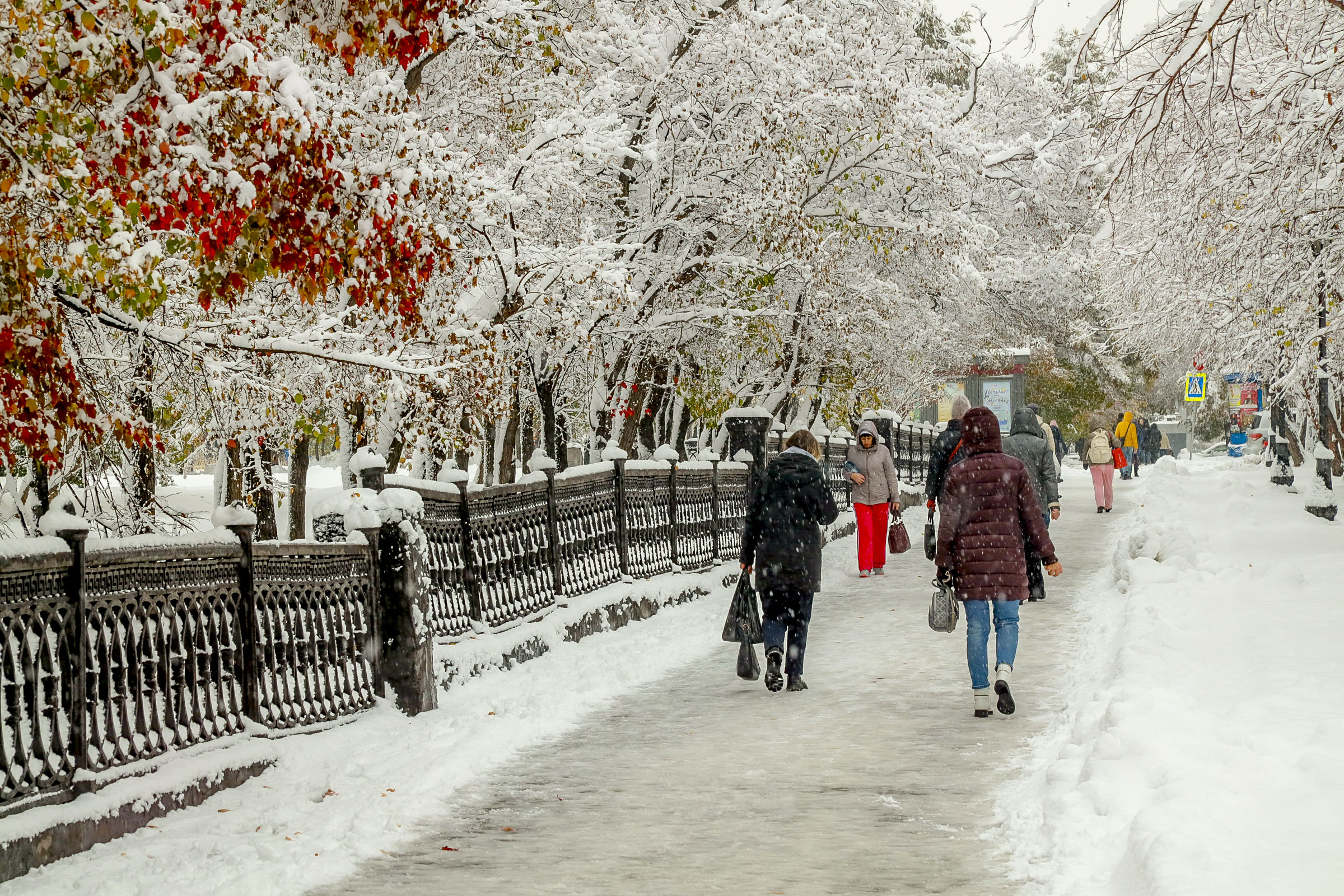 Потеплеет до −10: синоптики дали прогноз для Новосибирска