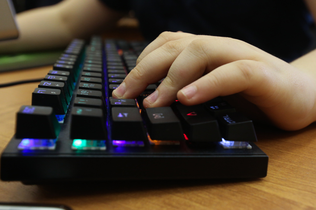 Школа киберспорта из Новосибирска откроет филиалы в ДНР и Новороссии