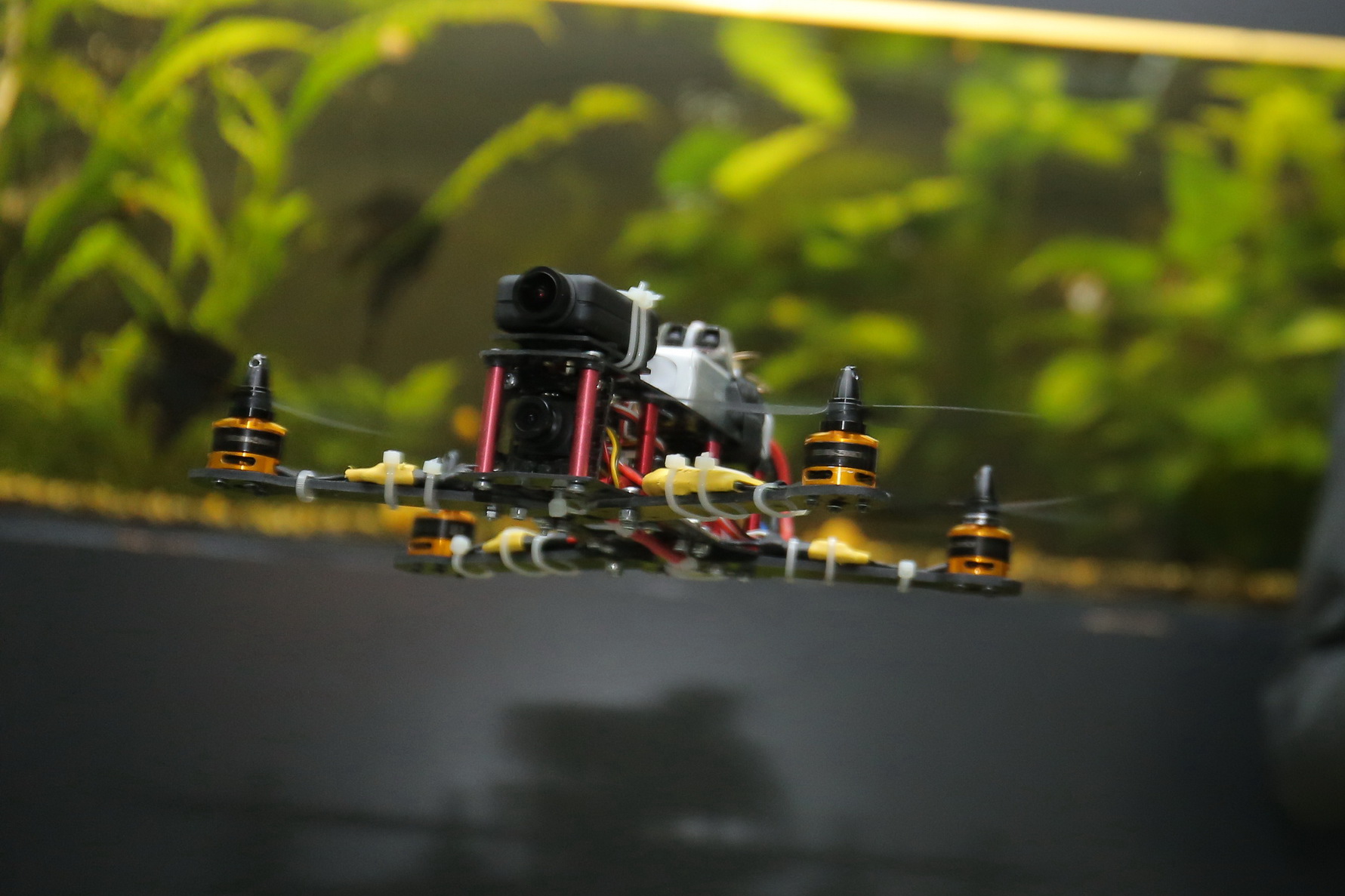 В новом сезоне «Зарницы 2.0» можно стать связистом, военкором и сапёром