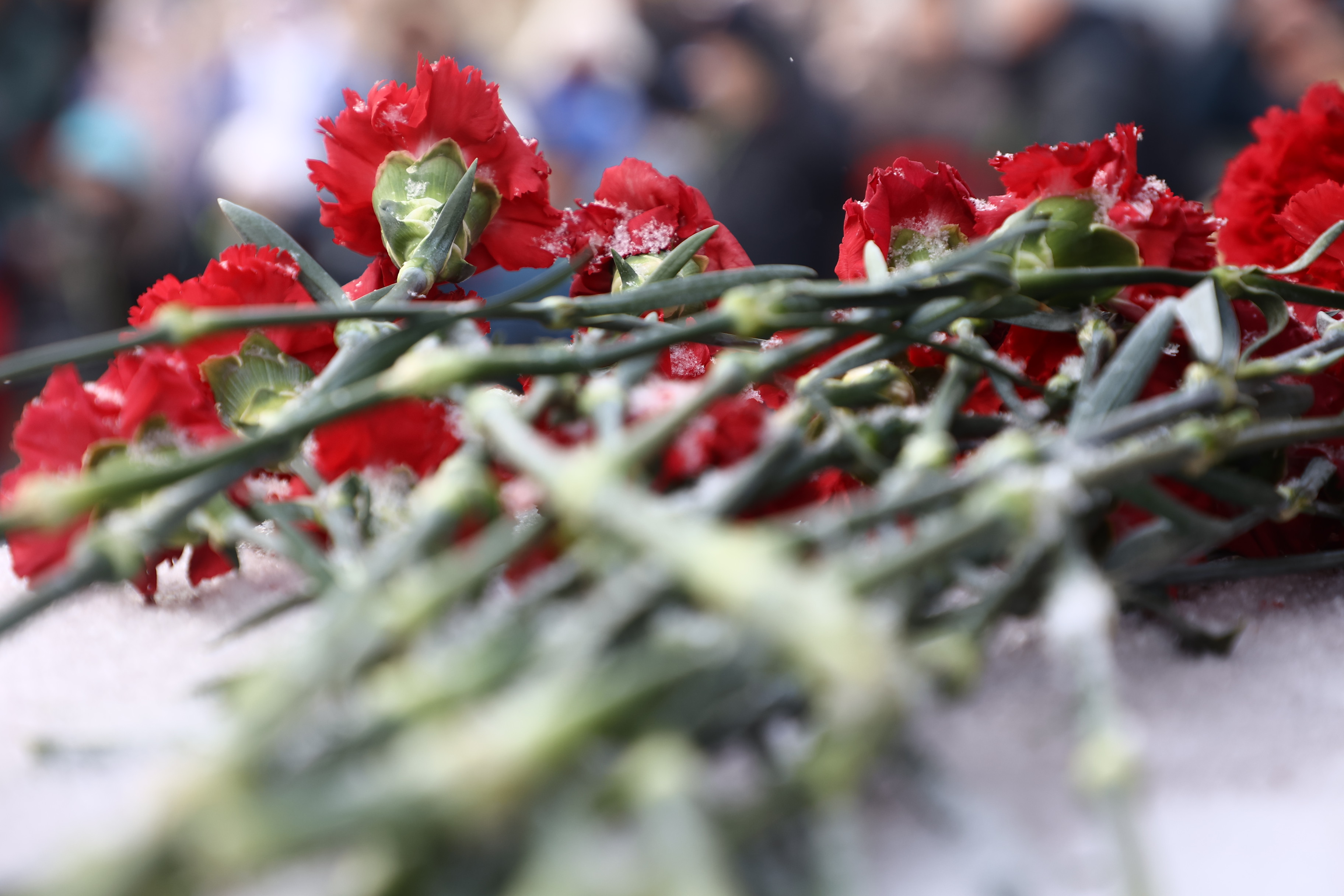 Всероссийскую акцию «Блокадный хлеб» поддержали депутаты Новосибирска