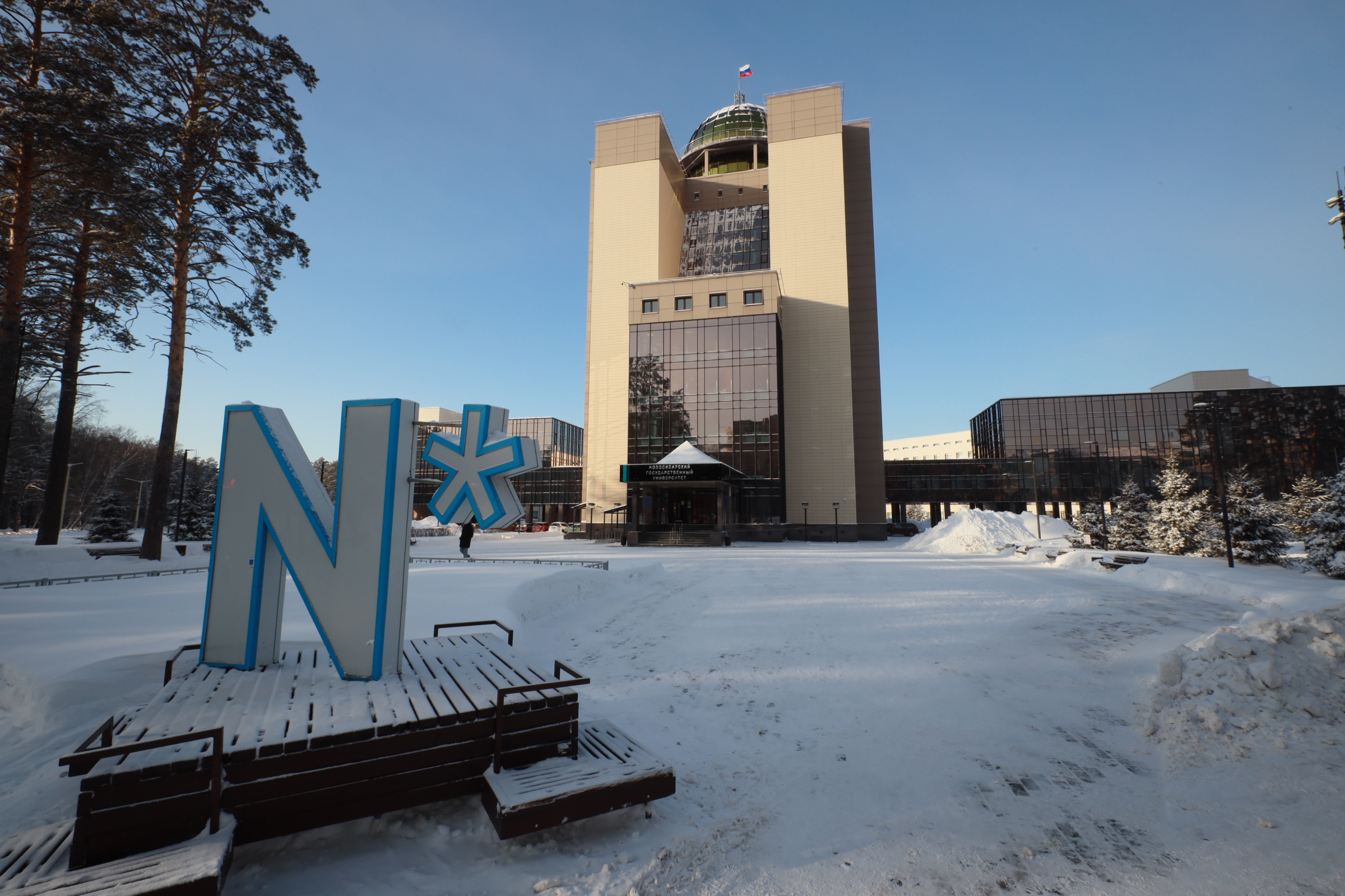 Следы операции на черепе древней женщины обнаружили на КТ учёные НГУ