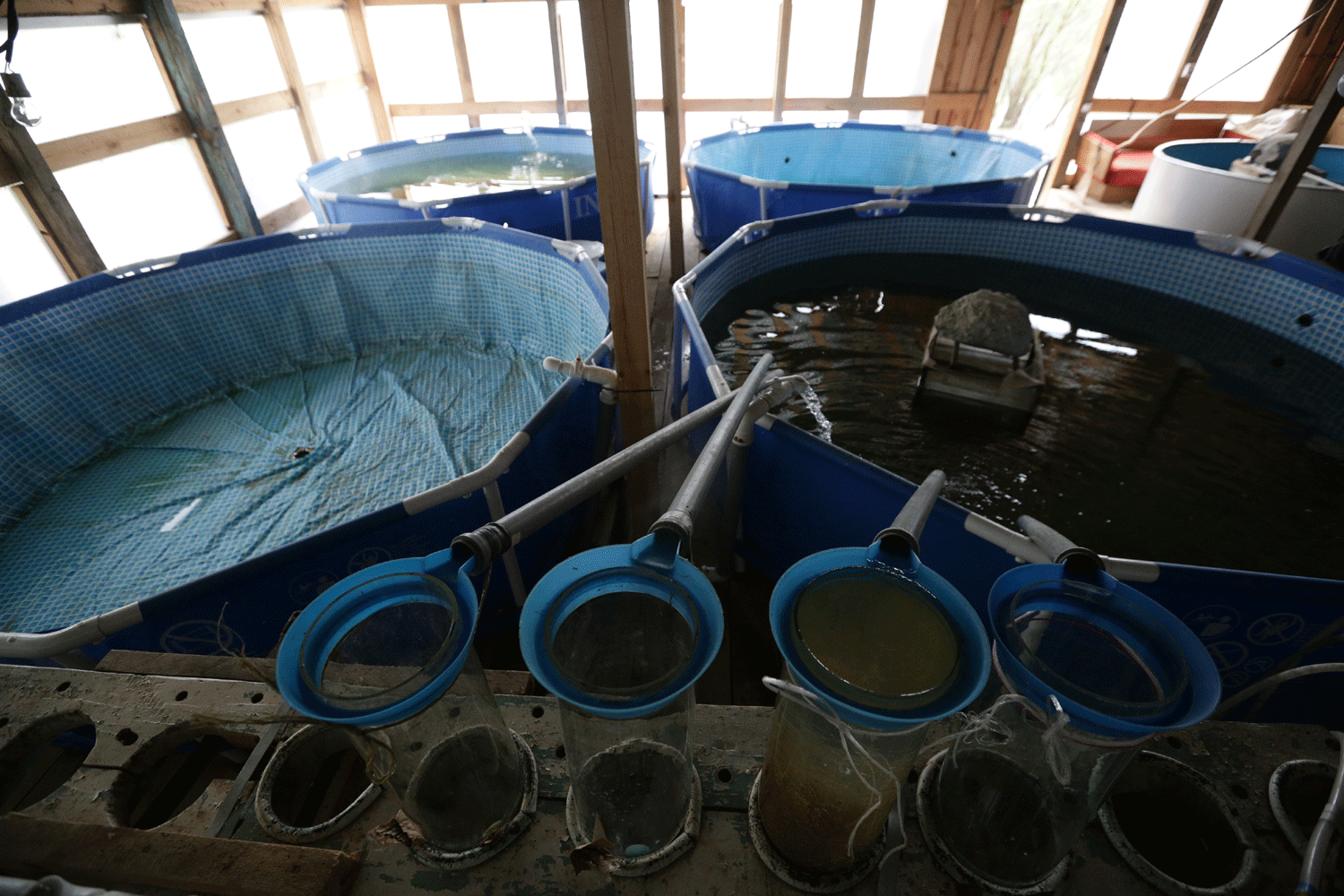 Новое производство кормов для рыб откроют в мае под Новосибирском