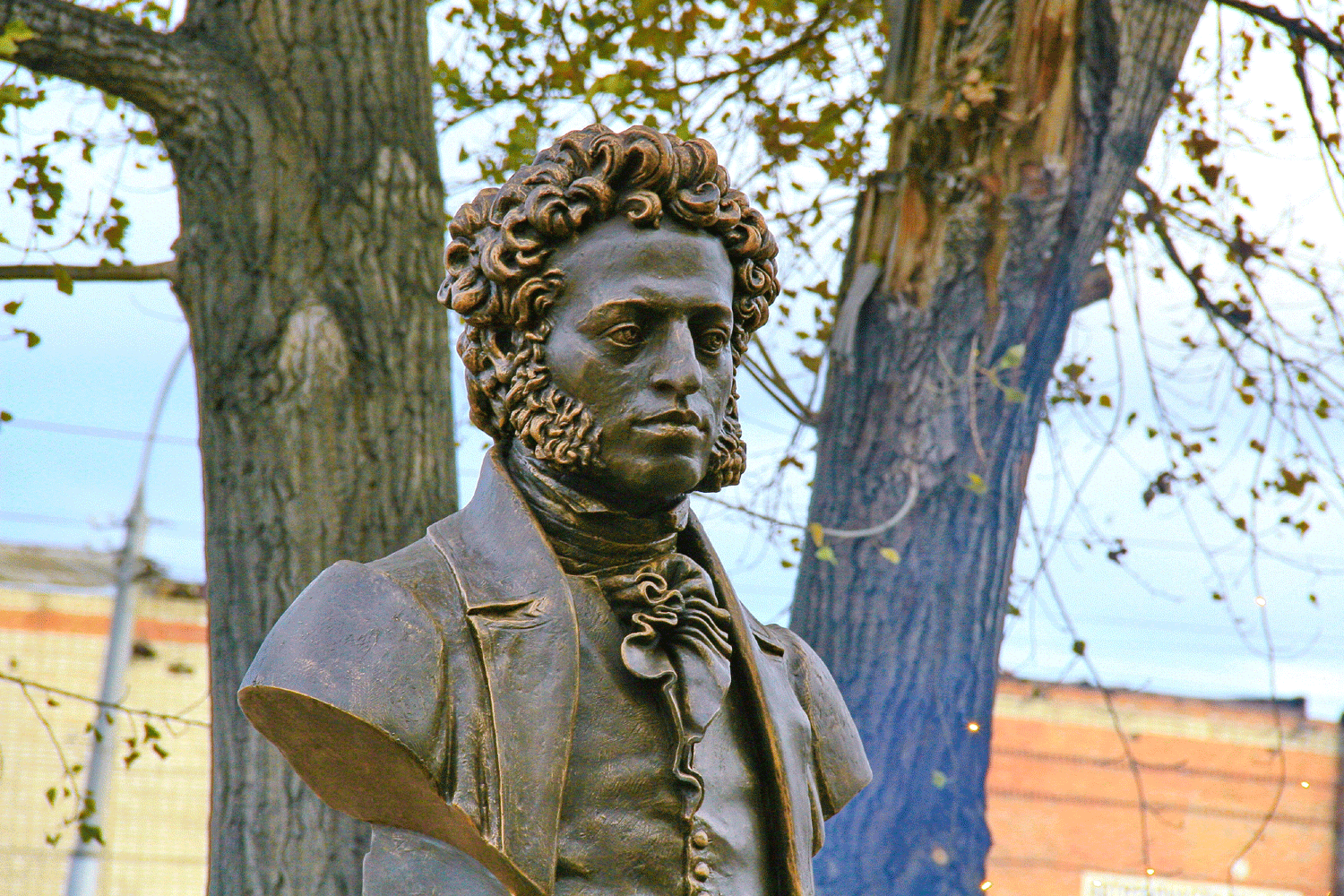 За аферу с «Пушкинскими картами» в Новосибирске дали реальные сроки