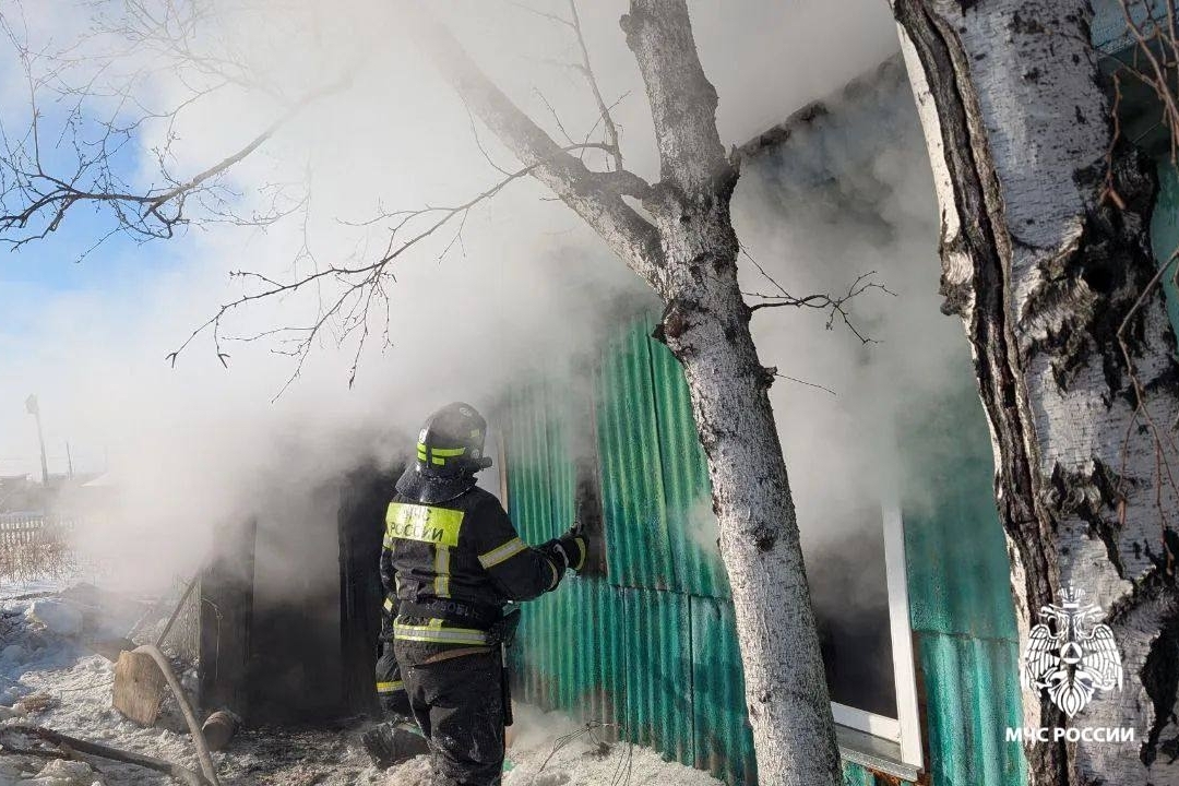 Троих погибших нашли при тушении пожара в Новосибирской области (18+)