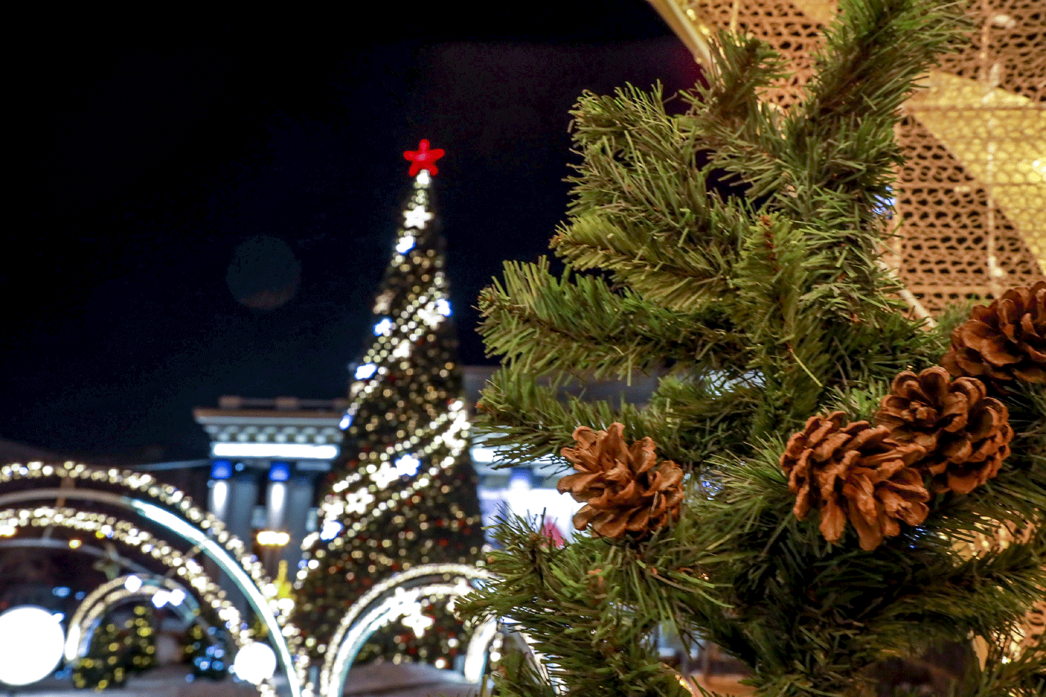 Запускать дроны запретят на новогодних праздниках в Новосибирске