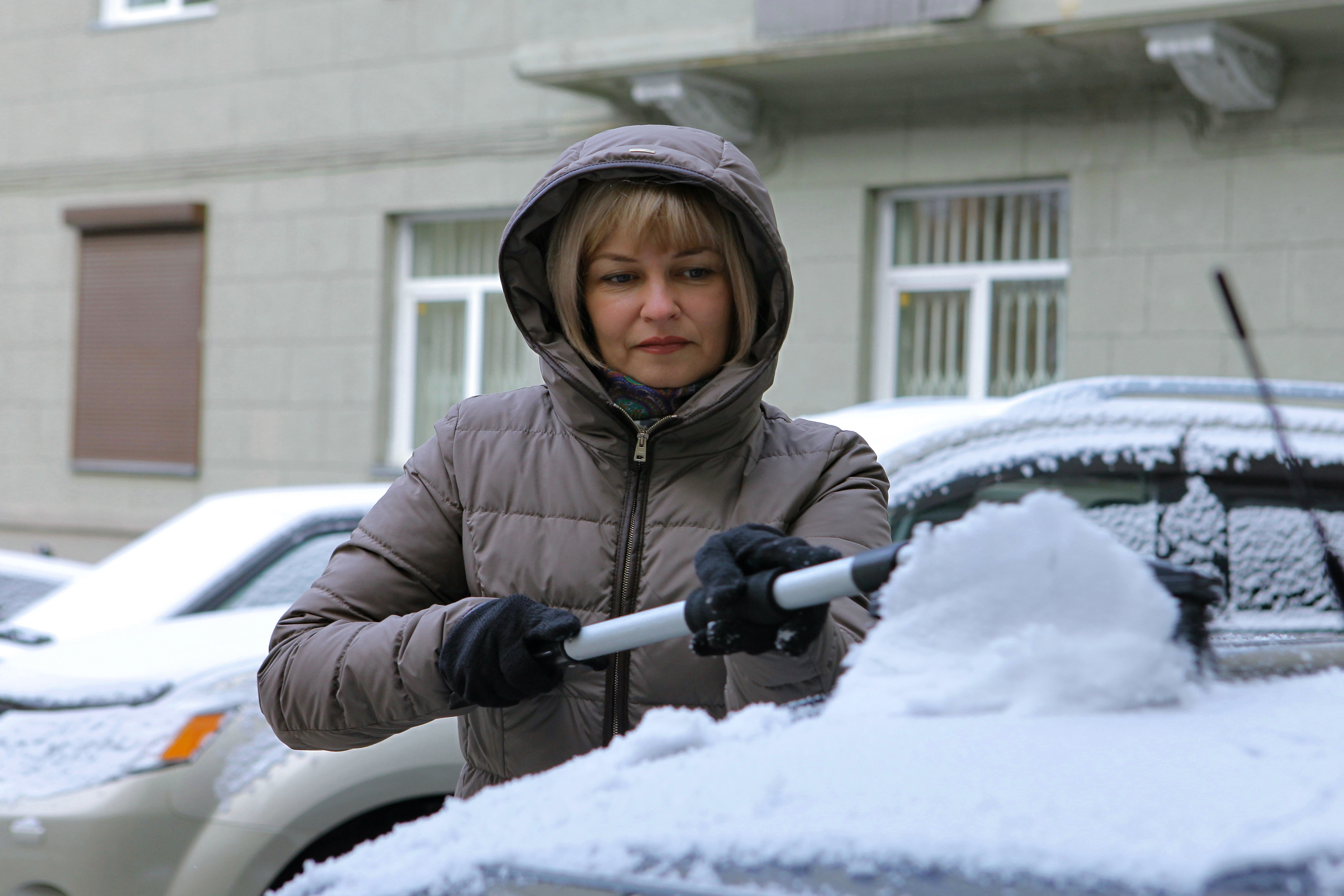 Какие автомобили выбирают новосибирские женщины — рассказал эксперт