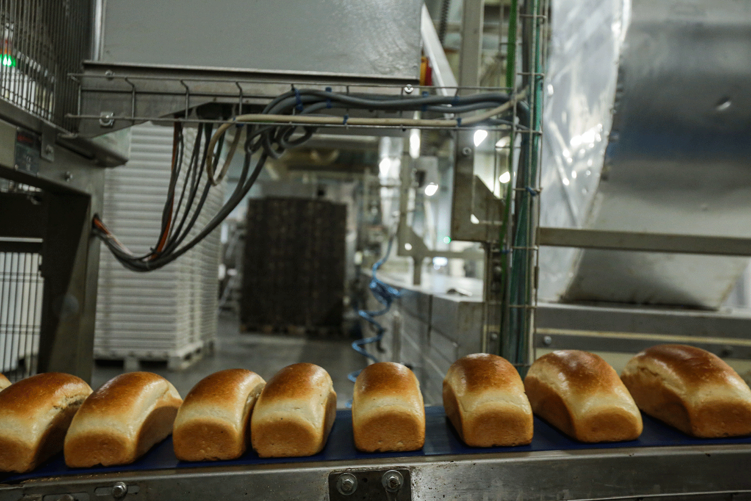 Роспотребнадзор исследовал 488 проб хлеба в Новосибирской области