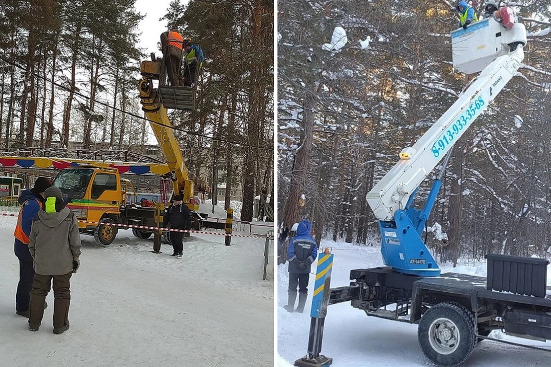 В парках Новосибирска начали весеннюю обрезку деревьев