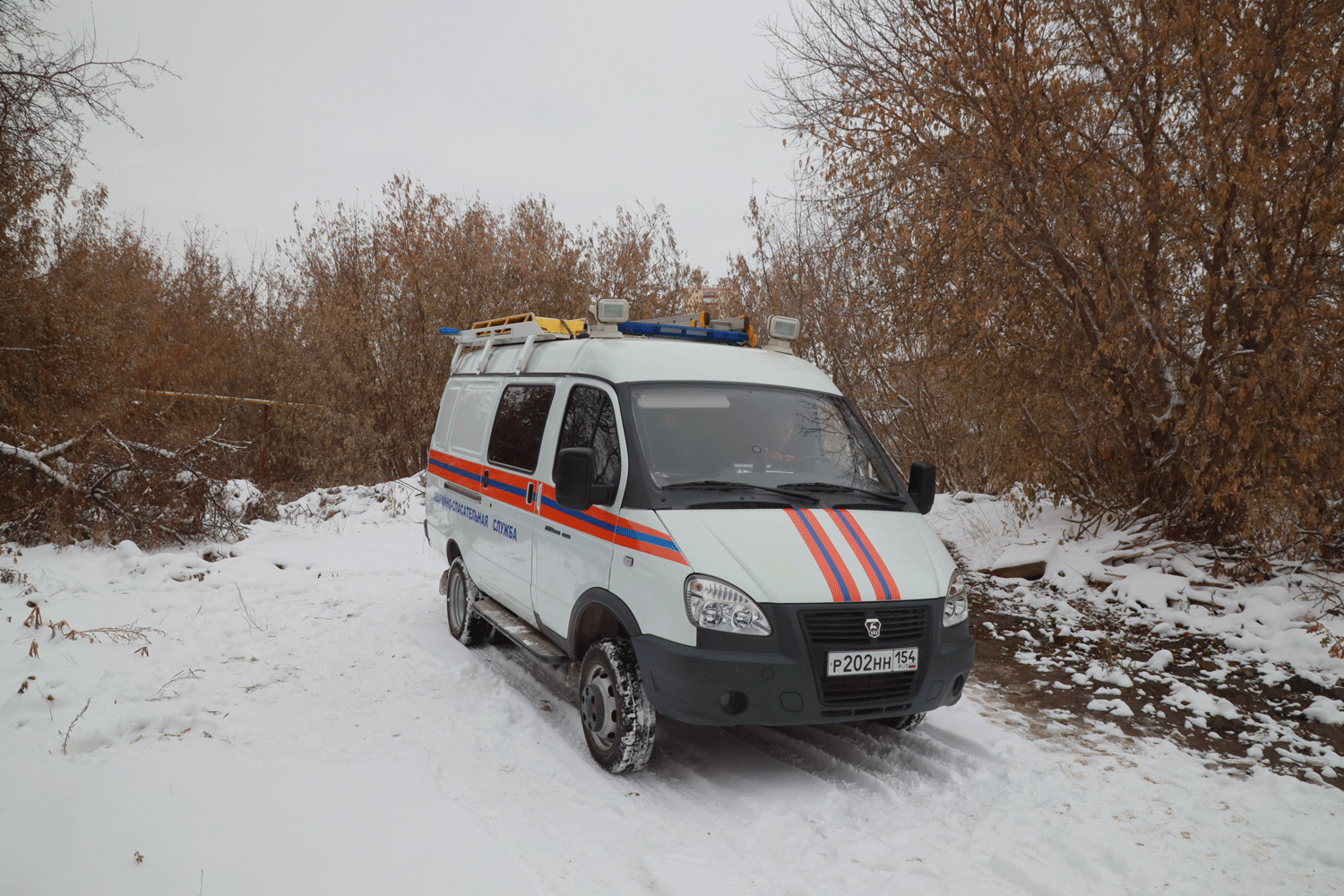 Сотрудники МАСС за неделю спасли 15 жизней в Новосибирске