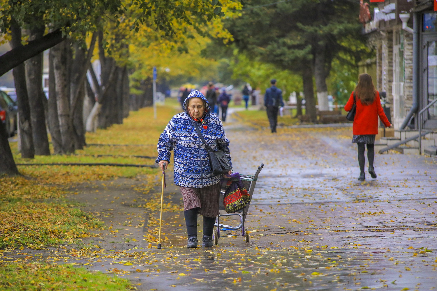 Как предотвратить пропажу человека с деменцией