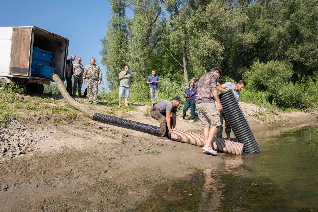 2000 мальков краснокнижной нельмы выпустили в Обь под Новосибирском