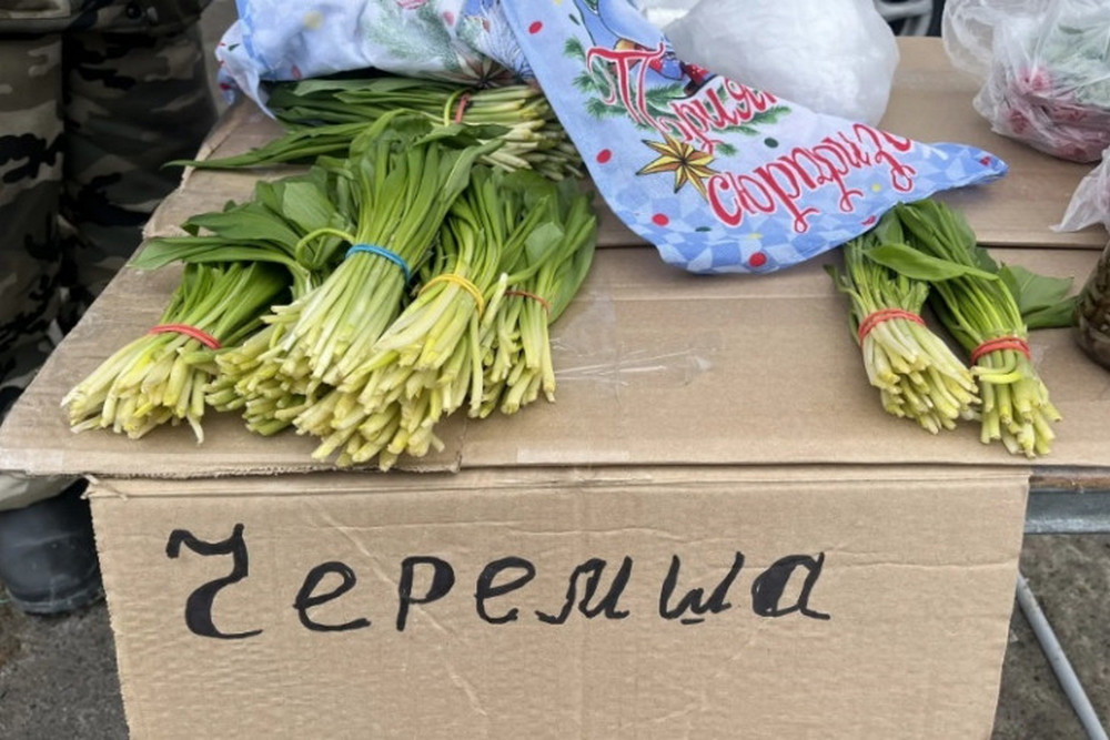 Черемшу по 200 рублей начали продавать в Новосибирске