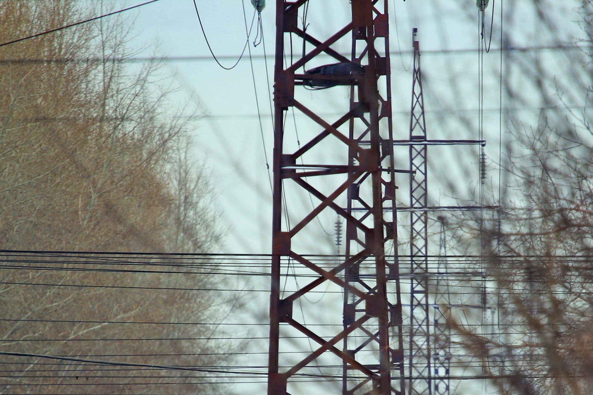Новую подстанцию запустили в новосибирском Академгородке