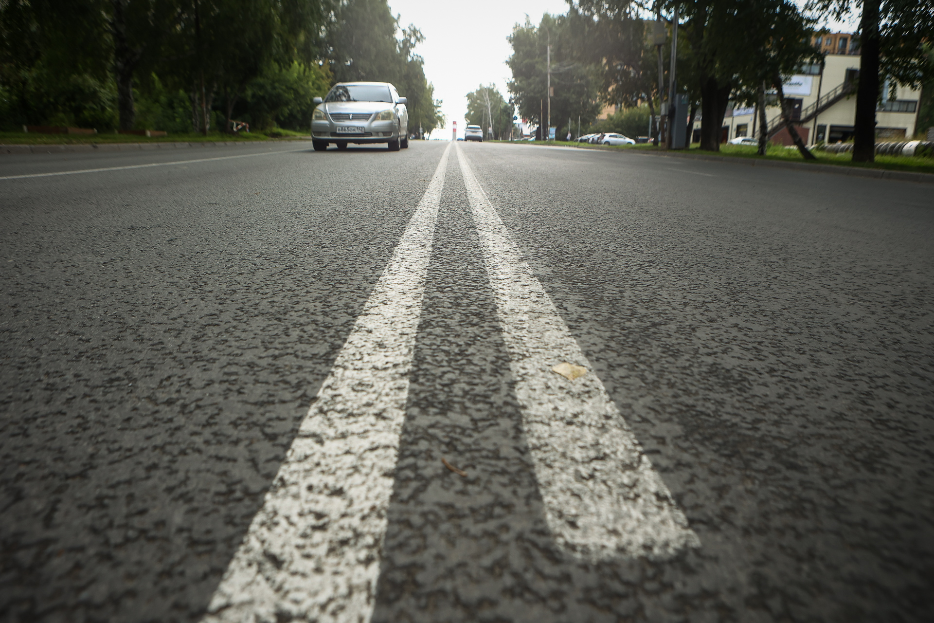 Наносить разметку на дороги Новосибирска начнут на этой неделе
